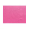 Set de table Framboise Spunbond 30x40cm